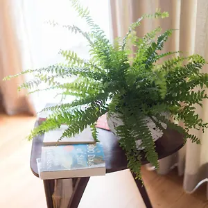 Appartement Santa Maria By Heart Of, Funchal (Madeira)